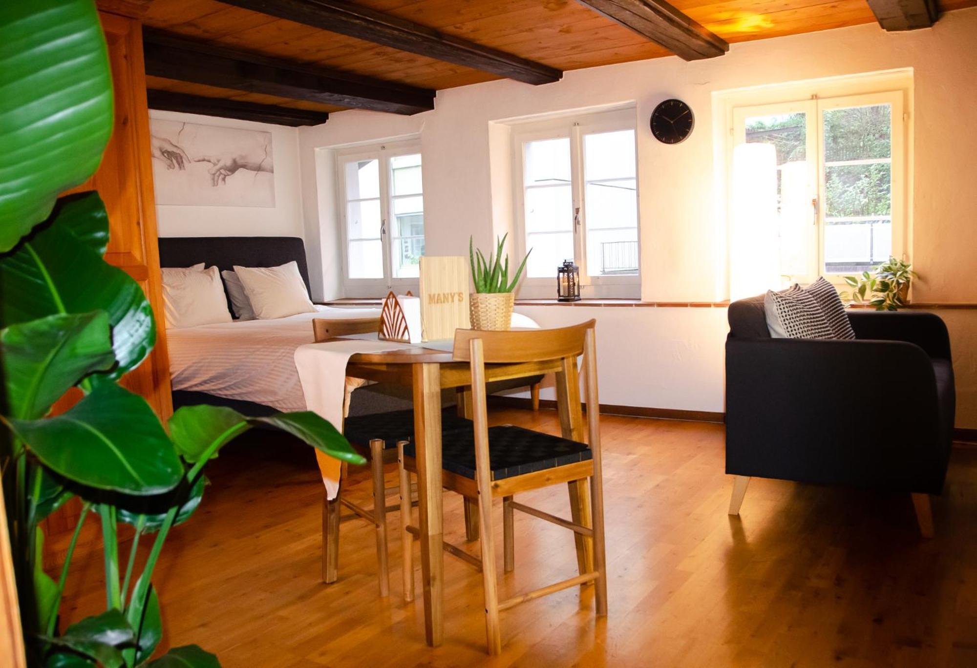 Many'S Historical City Central Apartments Zurich Exterior photo